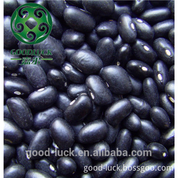 black kidney beans,BKB